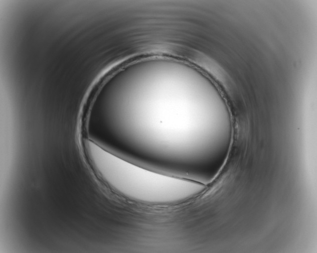 X0000098101020200804111018