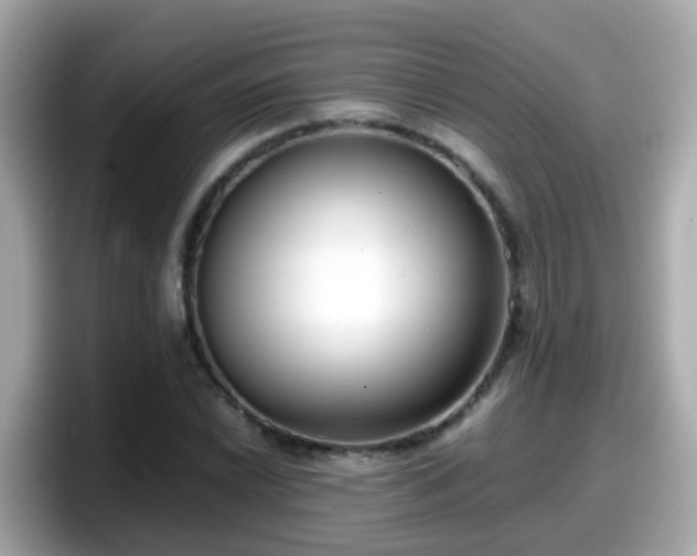 X0000098101022200804111018