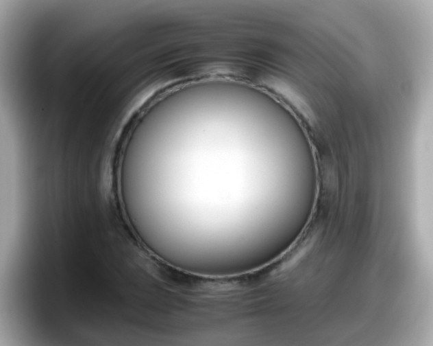 X0000098101023200804111018