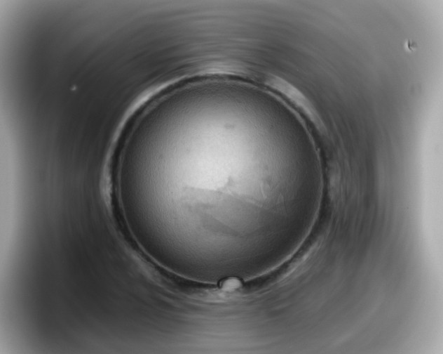 X0000098101024200804111018