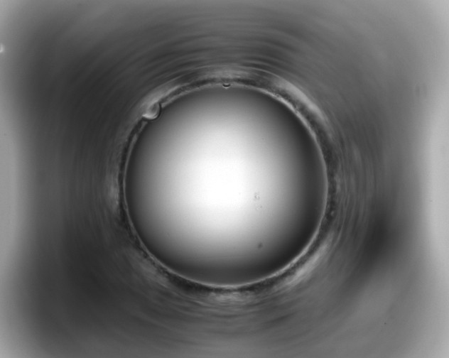 X0000098101025200804111018