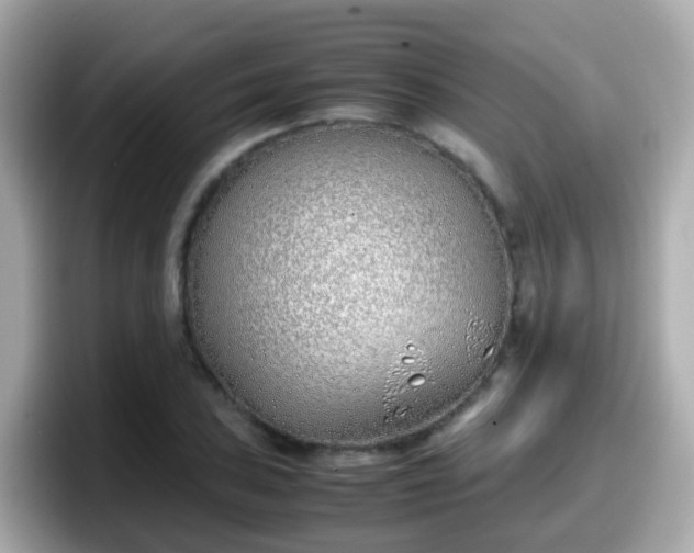X0000098101027200804111018