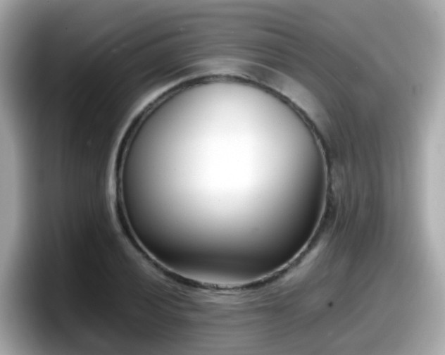 X0000098101028200804111018