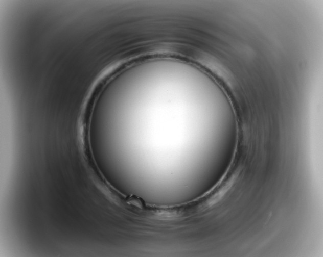 X0000098101029200804111018