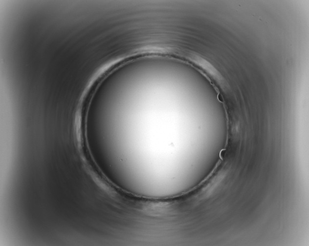 X0000098101030200804111018