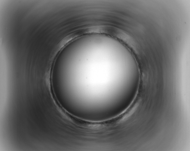 X0000098101033200804111018