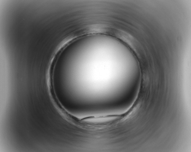 X0000098101034200804111018