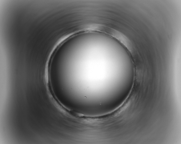 X0000098101036200804111018