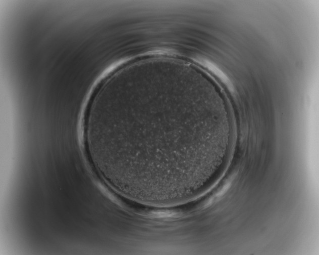 X0000098101037200804111018