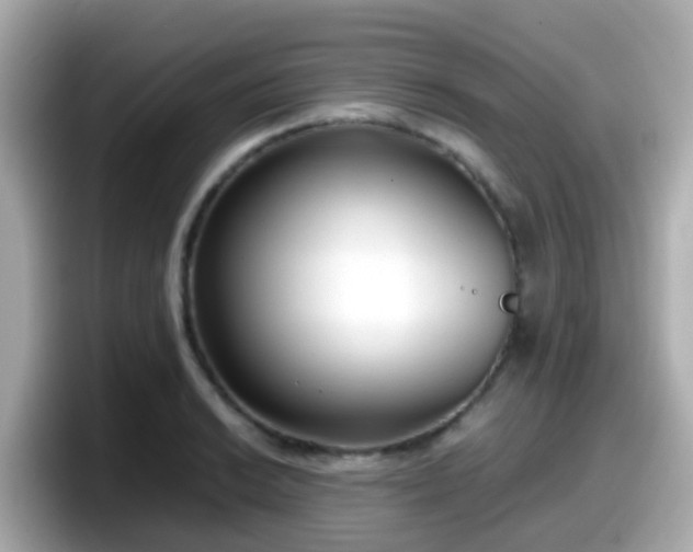 X0000098101038200804111019