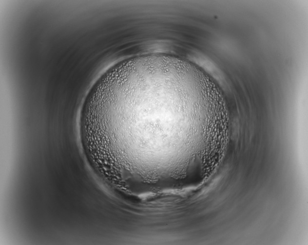 X0000098101039200804111019