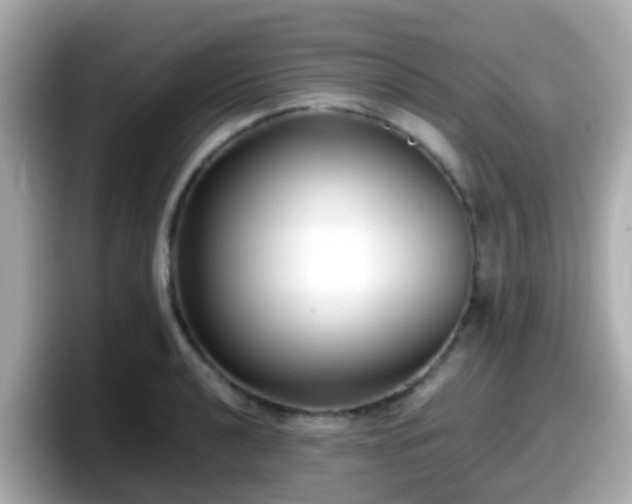 X0000098101040200804111019