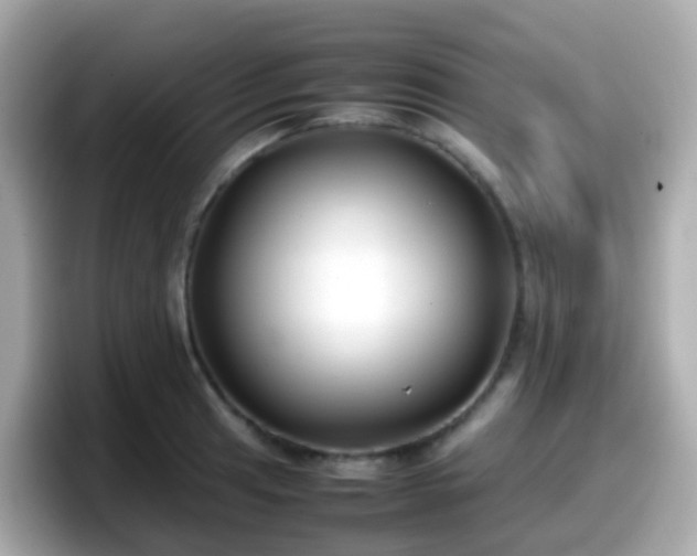 X0000098101041200804111019