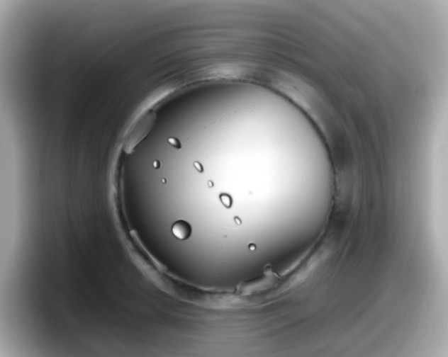 X0000098101042200804111019