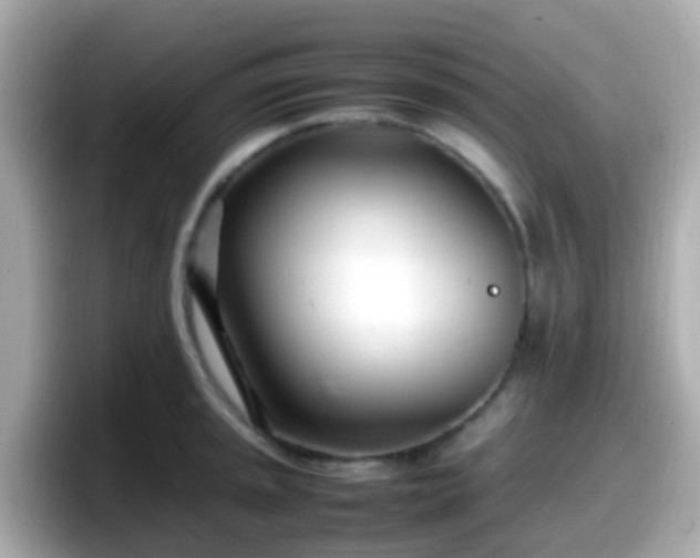 X0000098101045200804111019