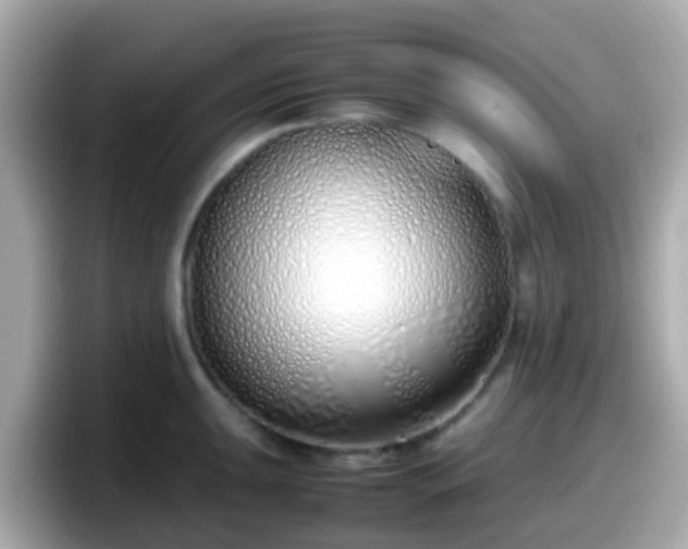 X0000098101047200804111019