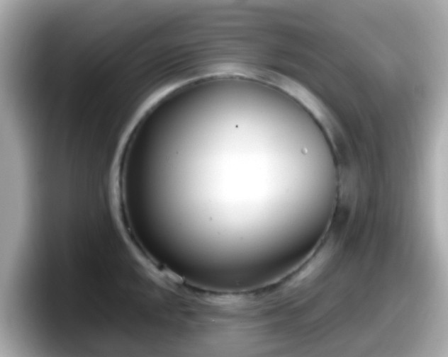 X0000098101048200804111019