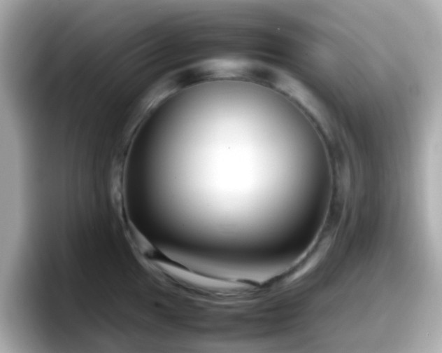 X0000098101049200804111019