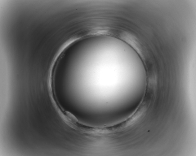 X0000098101050200804111019