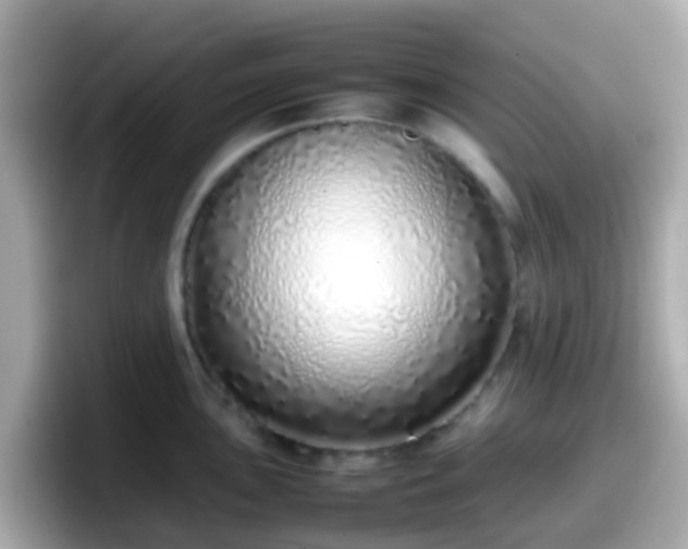 X0000098101051200804111019