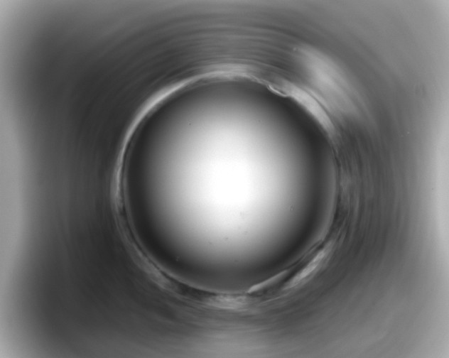 X0000098101052200804111019