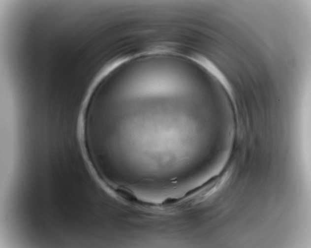 X0000098101053200804111019