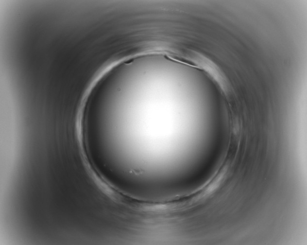 X0000098101054200804111019