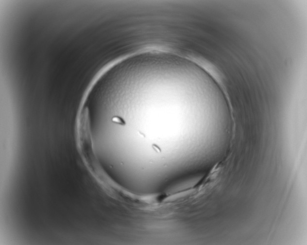 X0000098101056200804111019