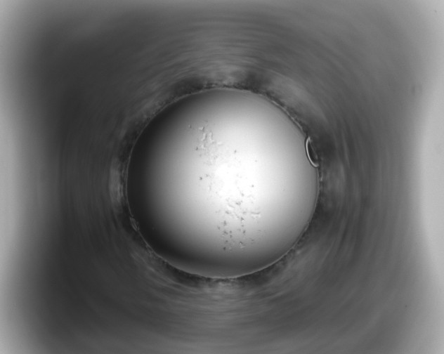 X0000098101058200804111018