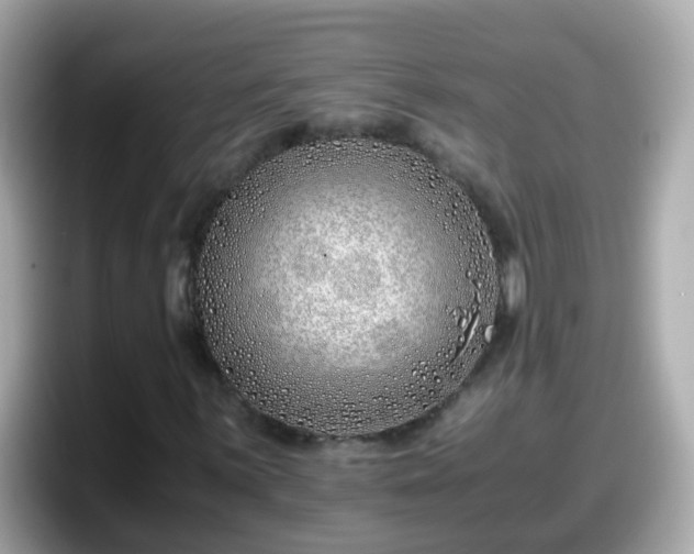 X0000098101059200804111018