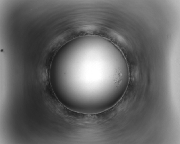 X0000098101062200804111018