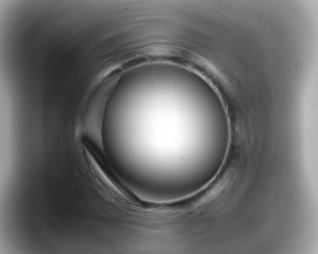 X0000098101065200804111018