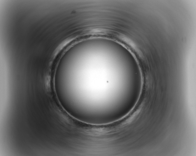 X0000098101066200804111018