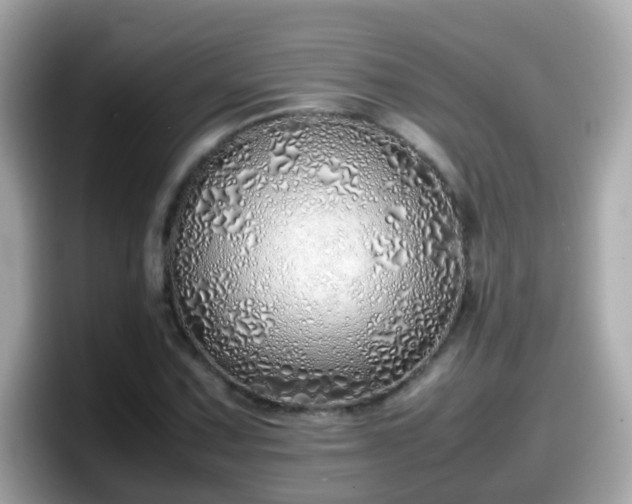 X0000098101067200804111018