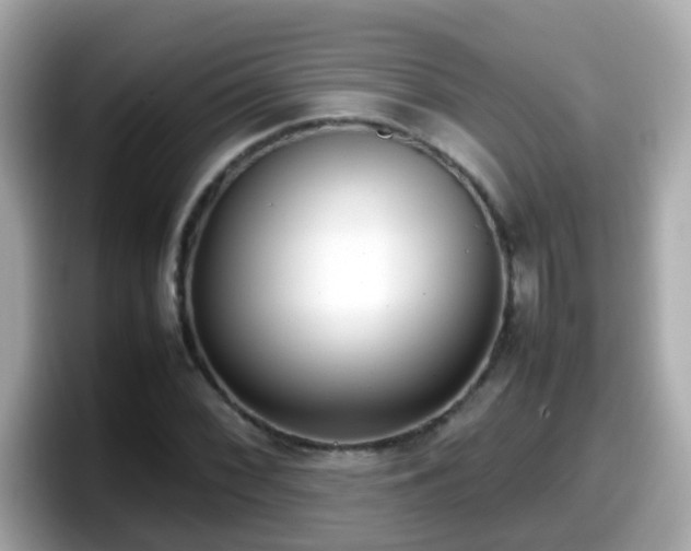 X0000098101068200804111018