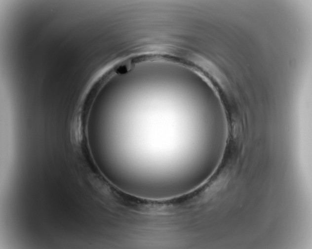 X0000098101069200804111018