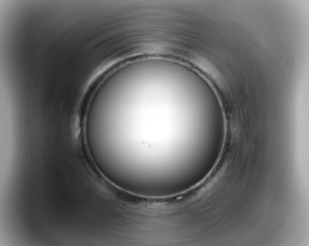 X0000098101070200804111018