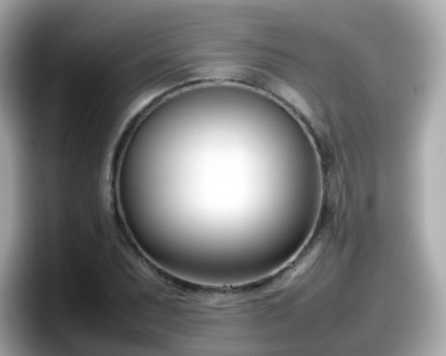 X0000098101071200804111018