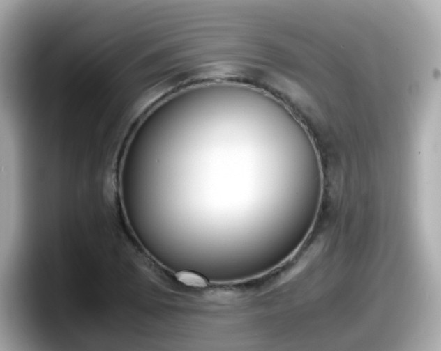 X0000098101073200804111018