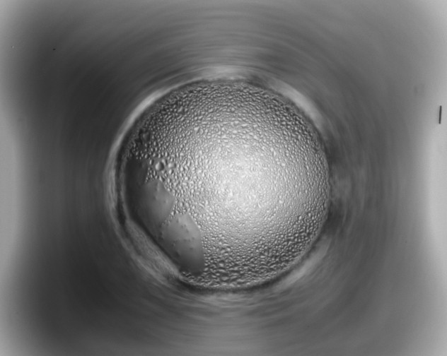 X0000098101075200804111018
