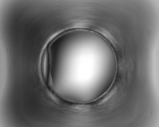 X0000098101077200804111018