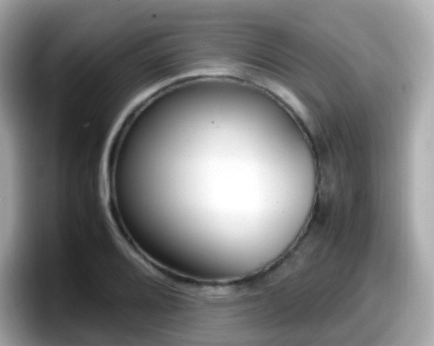 X0000098101080200804111018