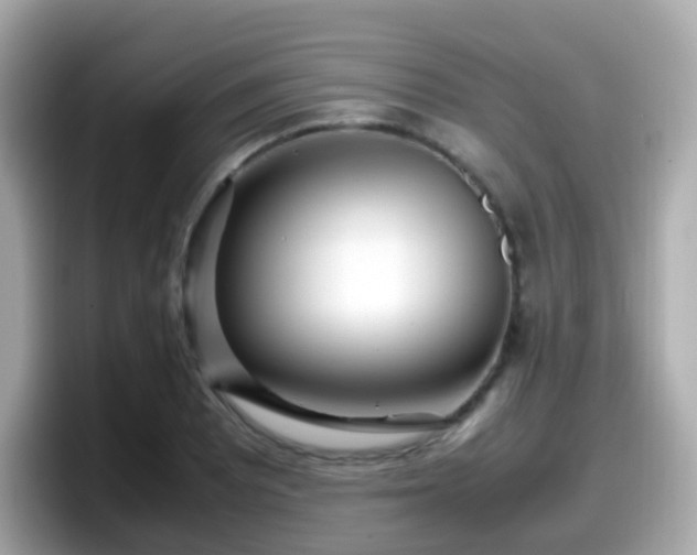 X0000098101081200804111018