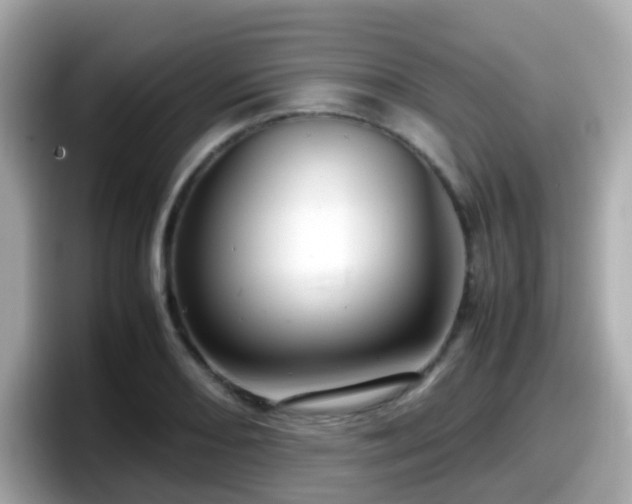 X0000098101082200804111018