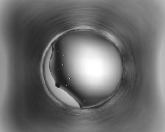 X0000098101084200804111018