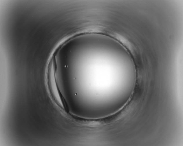 X0000098101085200804111018