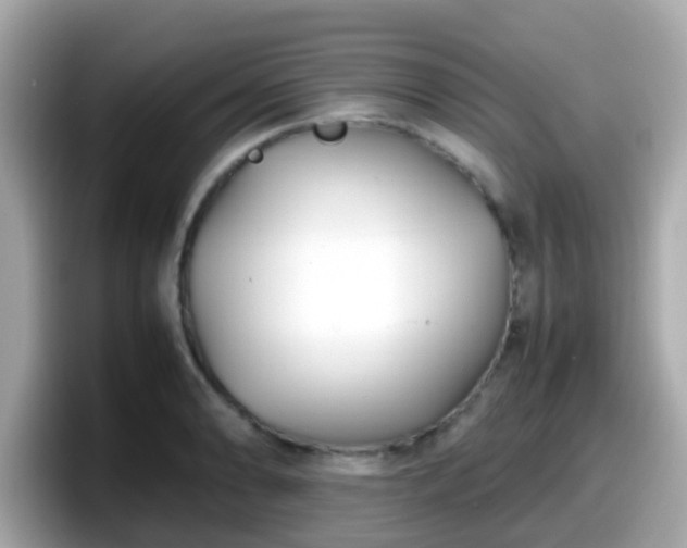X0000098101086200804111018