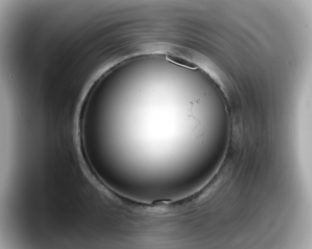 X0000098101088200804111018