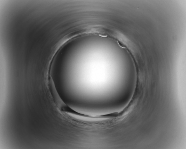 X0000098101089200804111018