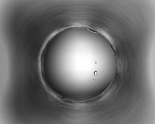 X0000098101096200804111018